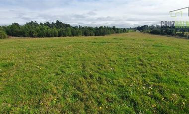 Agrícola en Venta en 7,1 hectáreas cerca de Los Muermos