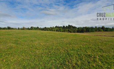 Agrícola en Venta en 7,1 hectáreas cerca de Los Muermos