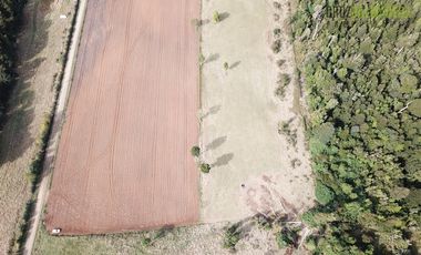 Agrícola en Venta en 7,1 hectáreas cerca de Los Muermos