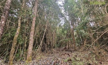 Parcela en Venta en Cercana al aeropuerto