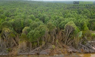 Parcela en Venta en Camino Lagunitas