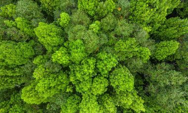 Parcela en Venta en Camino Lagunitas