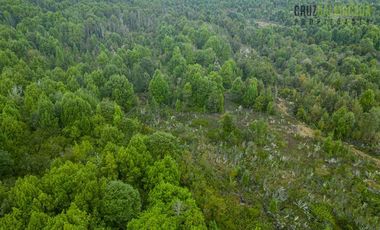 Parcela en Venta en Camino Lagunitas