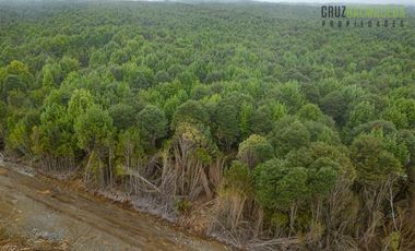 Parcela en Venta en Camino Lagunitas