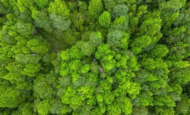 Parcela en Venta en Camino Lagunitas
