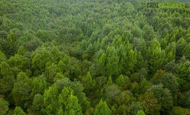 Parcela en Venta en Camino Lagunitas