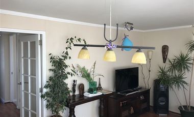 Departamento en Venta en Escuela Agrícola 1710, Macul