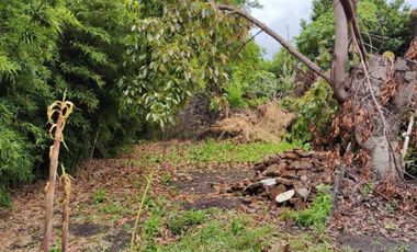 VENTA DE CASA 4 AMBIENTES CON AMPLIO LOTE - LLAVALLOL