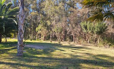 SE VENDE CASAQUINTA EN SAN MIGUEL DEL MONTE
