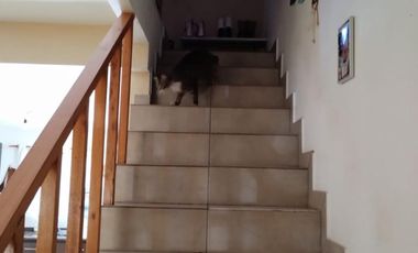 Excelente oportunidad, dos ambientes con cochera a la venta