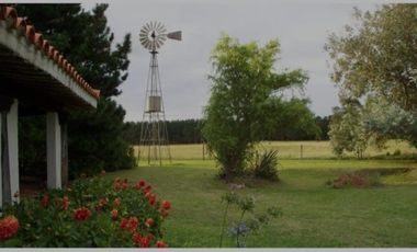 VENDO DOS CASAS CON GRAN PREDIO