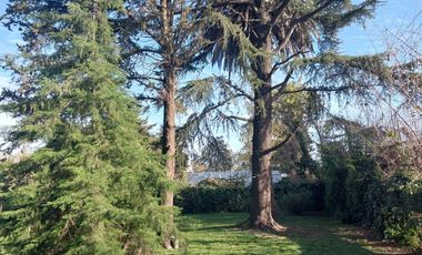 Excelente Casa Quinta 4 Ambientes EN VENTA, Tabaré 200, V. Udaondo, Ituzaingó