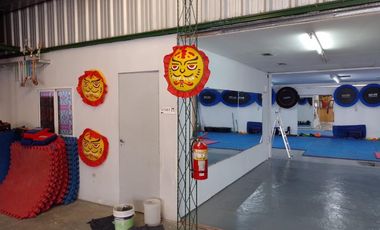 Gran Galpón en venta