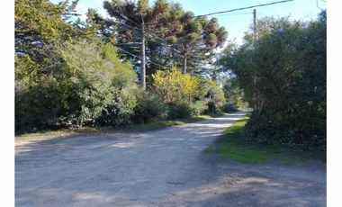 CASA QUINTA en Venta en Punta Indio