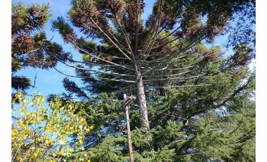 CASA QUINTA en Venta en Punta Indio