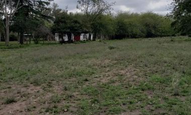 Excelentes parcelas rurales en Ingeniero Allan, Varela