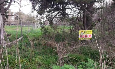 Excelentes parcelas rurales en Ingeniero Allan, Varela