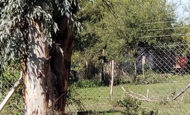 Excelentes parcelas rurales en Ingeniero Allan, Varela