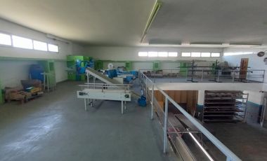 Indexa vende Local Comercial