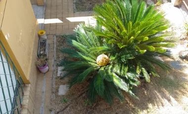 CASA CON DEPTO EN PLANTA ALTA A REFACCIONAR, A METROS DE AV SARRATEA, BUENA UBICACION.