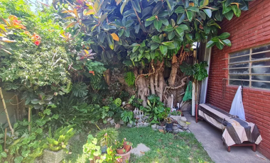 Casa En Esquina, Con Amplio Espacio Verde