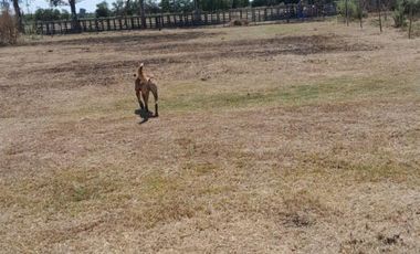 Terreno en General Rodriguez