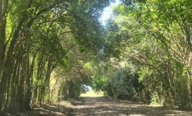 Quinta de 7.700 m2 con pileta de natación en Ingeniero Allan, Varela