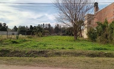 AMPLIO TERRENO EN ROLDAN. CALLE SAN BERNARDO AL 300. BARRIO ALTO VERDE. UBICACIÓN.