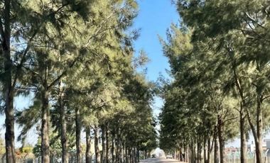 Alquiler de casa Barrio San Felipe con pileta- Canning