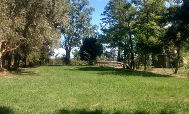 Quinta de 5.500 m2, con piscina. Ingeniero Allan, Varela