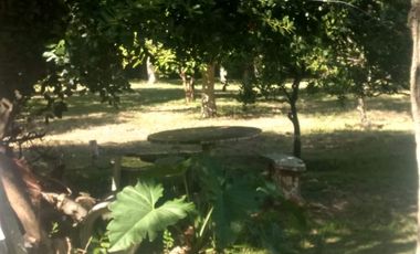 Quinta de 5.500 m2, con piscina. Ingeniero Allan, Varela