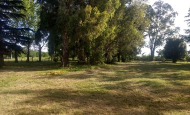 Quinta de 5.500 m2, con piscina. Ingeniero Allan, Varela