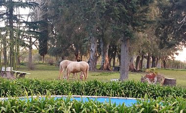 Quinta de 5.500 m2, con piscina. Ingeniero Allan, Varela