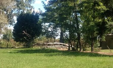 Quinta de 5.500 m2, con piscina. Ingeniero Allan, Varela