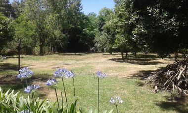 Quinta de 5.500 m2, con piscina. Ingeniero Allan, Varela