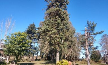 Quinta de 5.500 m2, con piscina. Ingeniero Allan, Varela