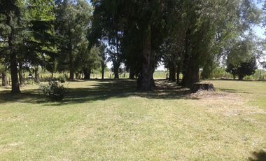 Quinta de 5.500 m2, con piscina. Ingeniero Allan, Varela