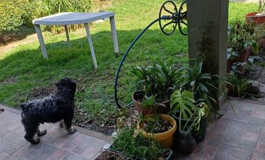 Casa de tres ambientes a la venta en Jose C Paz