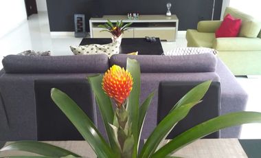 APARTAMENTO AMOBLADO EN ARRIENDO  LOS ALPES - PEREIRA