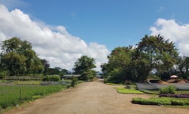 Land for sale in Pa Phai, Chiang Mai