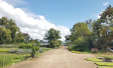 Land for sale in Pa Phai, Chiang Mai