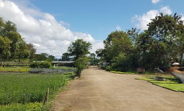 Land for sale in Pa Phai, Chiang Mai