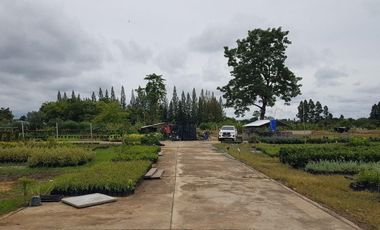 Land for sale in Pa Phai, Chiang Mai