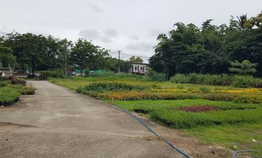 Land for sale in Pa Phai, Chiang Mai