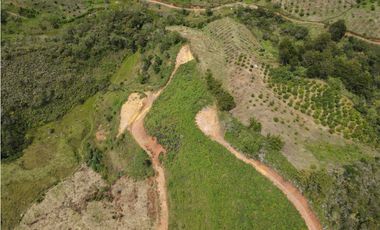 Vendo Lote N. 6 en san Vicente