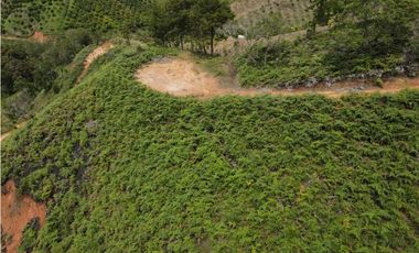 Vendo Lote N. 6 en san Vicente