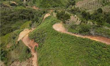 Vendo Lote N. 6 en san Vicente