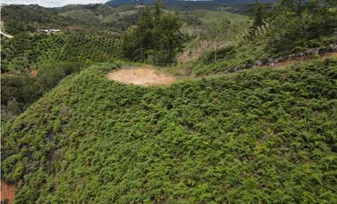 Vendo Lote N. 6 en san Vicente