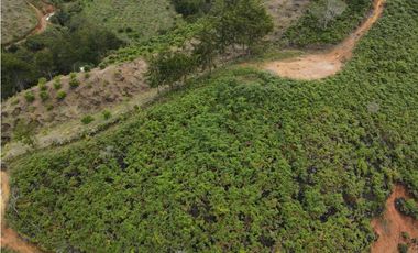 Vendo Lote N. 6 en san Vicente