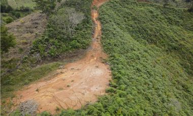 Vendo Lote N. 6 en san Vicente